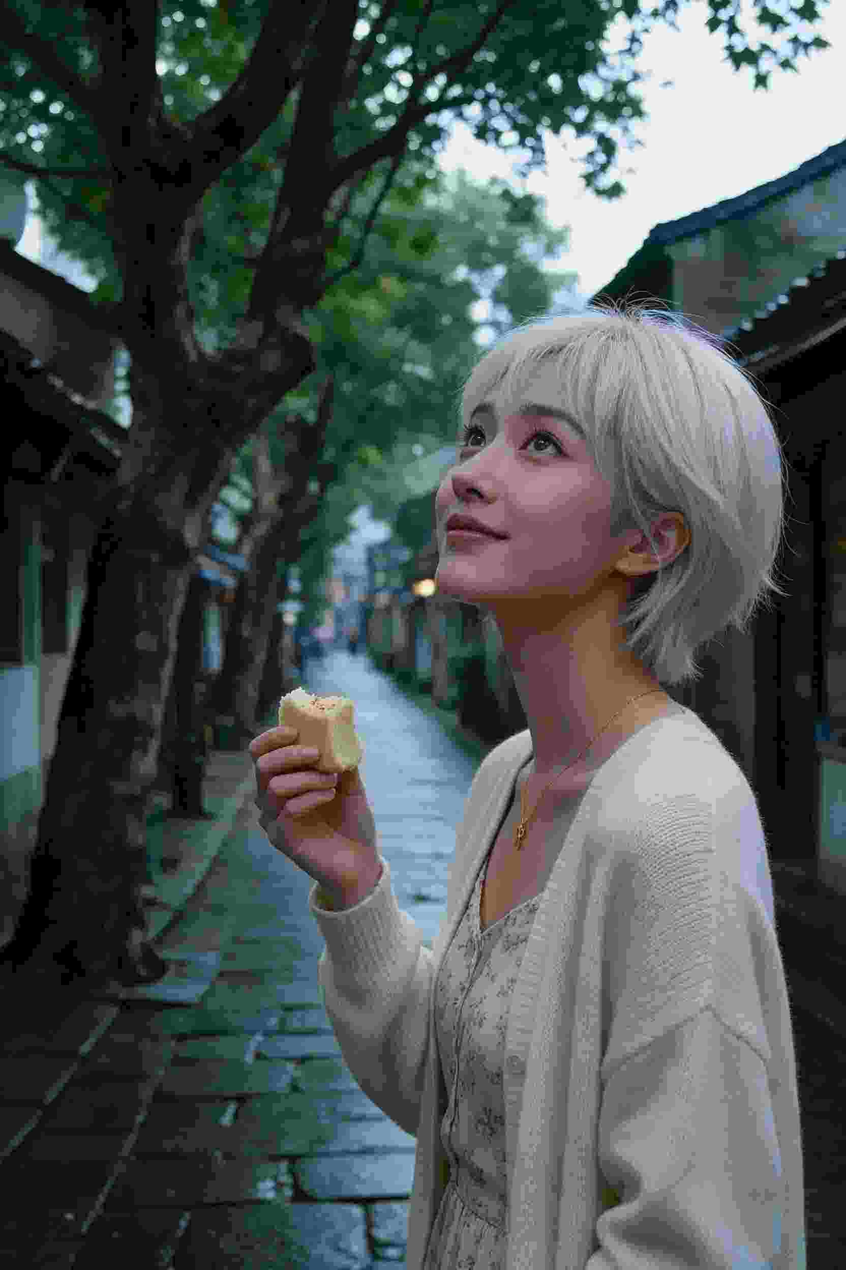 诅咒之地